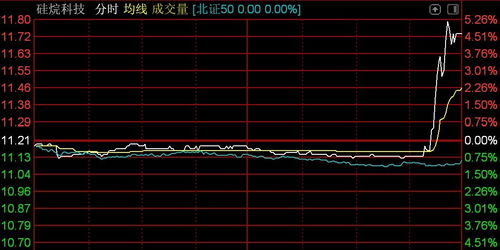 北交所震蕩調整 逾百股下挫，技術開發板塊承壓——以n鴻智超14%領跌為例